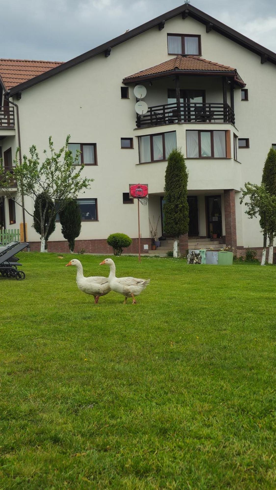 Pensiunea Tabacaru Peştera Εξωτερικό φωτογραφία