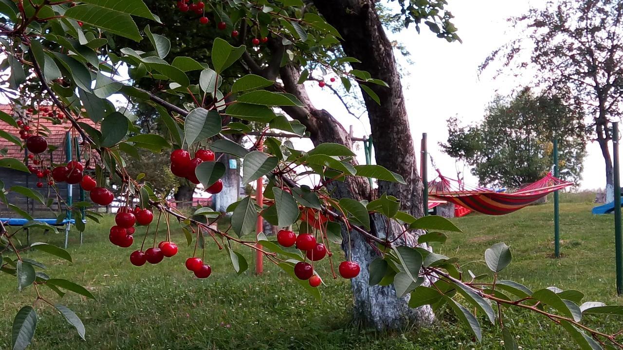 Pensiunea Tabacaru Peştera Εξωτερικό φωτογραφία
