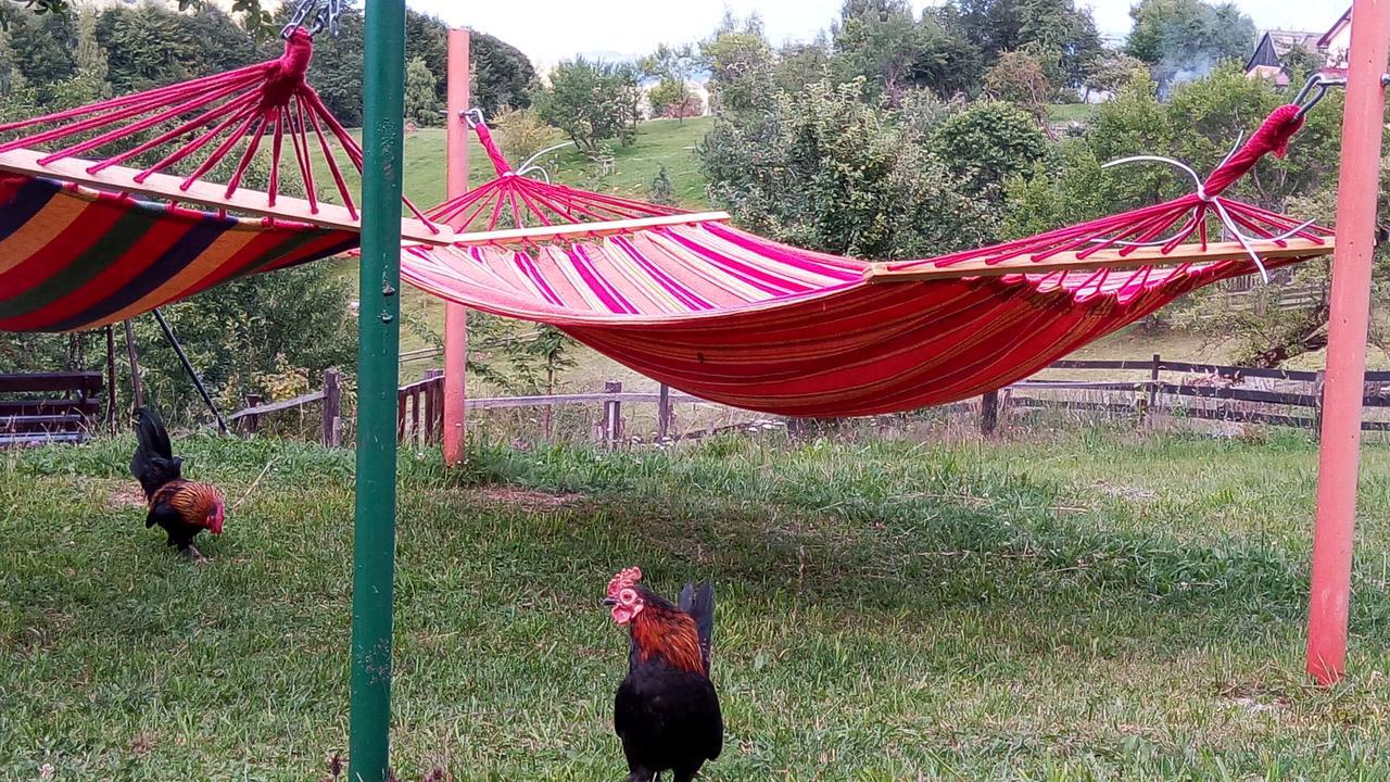 Pensiunea Tabacaru Peştera Εξωτερικό φωτογραφία