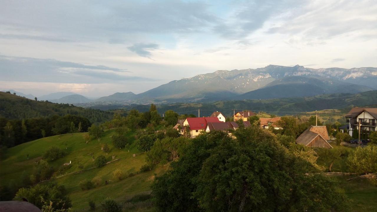 Pensiunea Tabacaru Peştera Εξωτερικό φωτογραφία