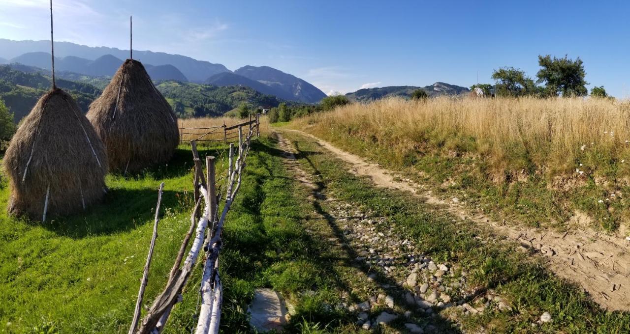 Pensiunea Tabacaru Peştera Εξωτερικό φωτογραφία